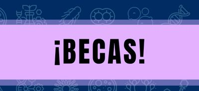 Becas para el Congreso